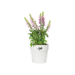 vibia straight round 25cm white